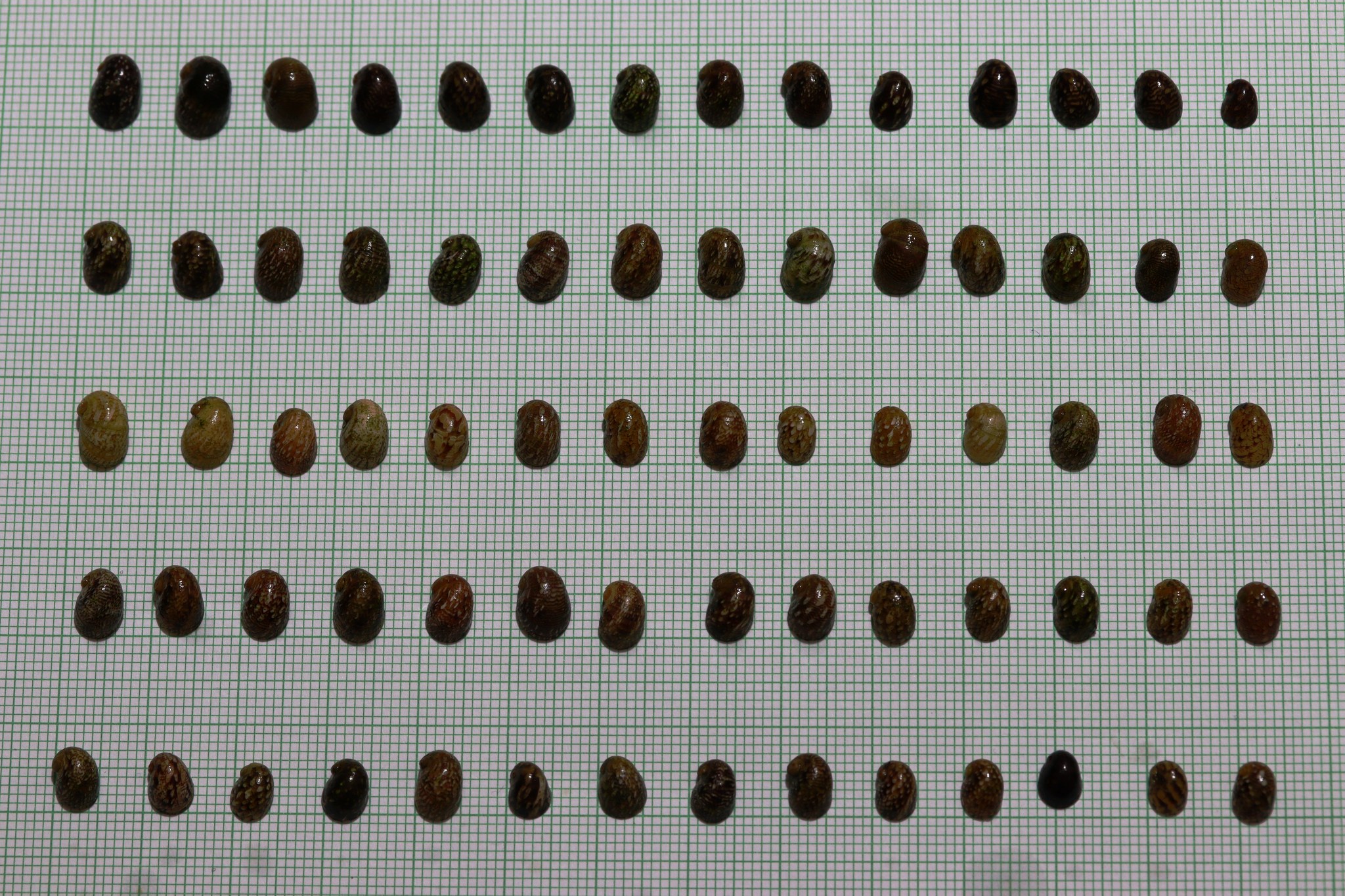 465254267_900090272268772_5207017537579412679_n